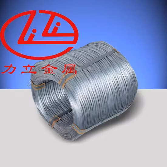 Fil d'acier inoxydable SUS316 0.3-4mm