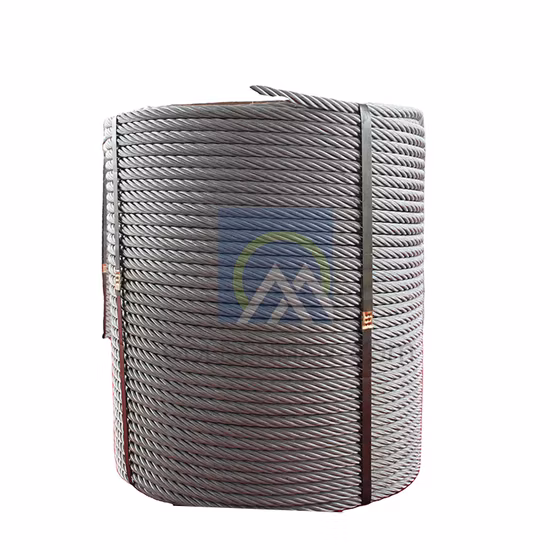 Câbles en acier non galvanisé 6X36sw+FC avec une haute qualité